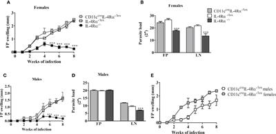 Interleukin-4 Responsive Dendritic Cells Are Dispensable to Host Resistance Against <mark class="highlighted">Leishmania mexicana</mark> Infection